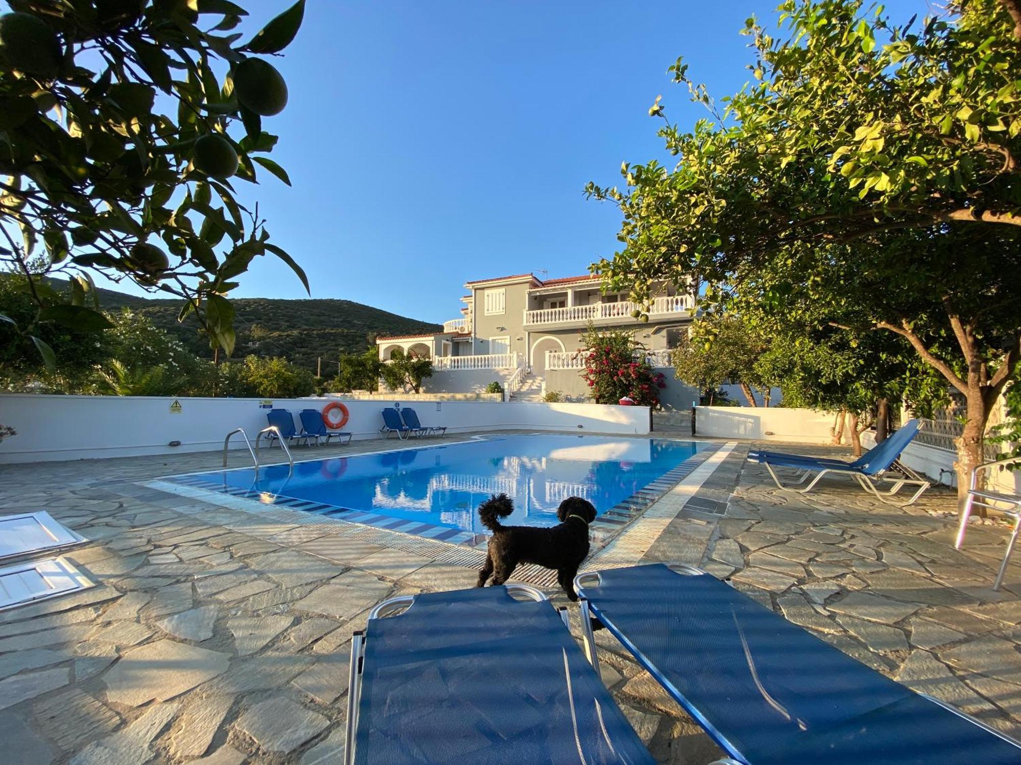 Villa Karras Pythagoreio  Ngoại thất bức ảnh
